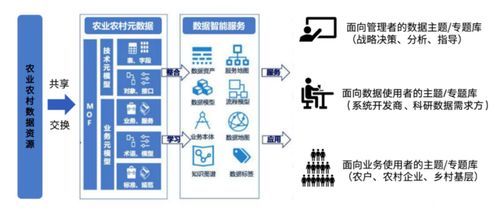 數字鄉村建設中的成功案例與數據處理實踐
