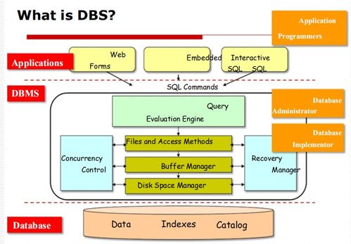 數(shù)據(jù)庫管理系統(tǒng)（DBMS）入門 基礎(chǔ)概念、目標(biāo)與應(yīng)用